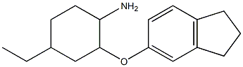 2-(2,3-dihydro-1H-inden-5-yloxy)-4-ethylcyclohexan-1-amine Struktur