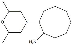 2-(2,6-dimethylmorpholin-4-yl)cyclooctanamine Struktur