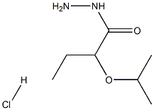 2-(propan-2-yloxy)butanehydrazide hydrochloride Struktur