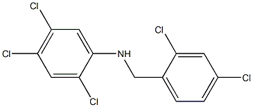 2,4,5-trichloro-N-[(2,4-dichlorophenyl)methyl]aniline Struktur