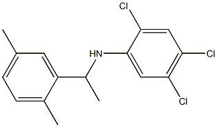 2,4,5-trichloro-N-[1-(2,5-dimethylphenyl)ethyl]aniline Struktur