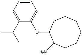 2-[2-(propan-2-yl)phenoxy]cyclooctan-1-amine Struktur