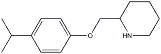 2-[4-(propan-2-yl)phenoxymethyl]piperidine Struktur