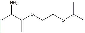 2-{2-[(3-aminopentan-2-yl)oxy]ethoxy}propane Struktur