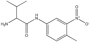 2-amino-3-methyl-N-(4-methyl-3-nitrophenyl)butanamide Struktur