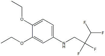 3,4-diethoxy-N-(2,2,3,3-tetrafluoropropyl)aniline Struktur