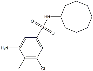 3-amino-5-chloro-N-cyclooctyl-4-methylbenzene-1-sulfonamide Struktur