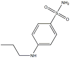 4-(propylamino)benzene-1-sulfonamide Struktur