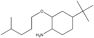 4-tert-butyl-2-[(4-methylpentyl)oxy]cyclohexan-1-amine Struktur