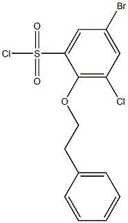 5-bromo-3-chloro-2-(2-phenylethoxy)benzene-1-sulfonyl chloride Struktur