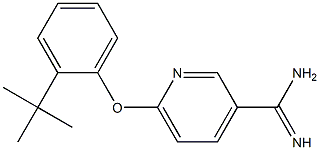 6-(2-tert-butylphenoxy)pyridine-3-carboximidamide Struktur