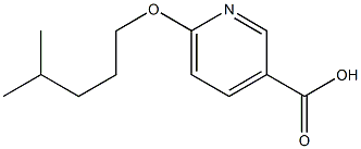 6-[(4-methylpentyl)oxy]pyridine-3-carboxylic acid Struktur