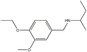 butan-2-yl[(4-ethoxy-3-methoxyphenyl)methyl]amine Struktur