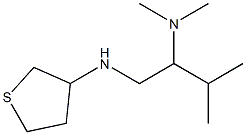 dimethyl[3-methyl-1-(thiolan-3-ylamino)butan-2-yl]amine Struktur