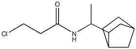 N-(1-{bicyclo[2.2.1]heptan-2-yl}ethyl)-3-chloropropanamide Struktur