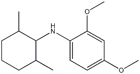 N-(2,6-dimethylcyclohexyl)-2,4-dimethoxyaniline Struktur