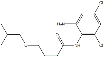 N-(2-amino-4,6-dichlorophenyl)-4-(2-methylpropoxy)butanamide Struktur