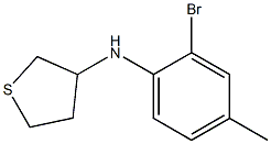 N-(2-bromo-4-methylphenyl)thiolan-3-amine Struktur