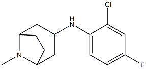 N-(2-chloro-4-fluorophenyl)-8-methyl-8-azabicyclo[3.2.1]octan-3-amine Struktur