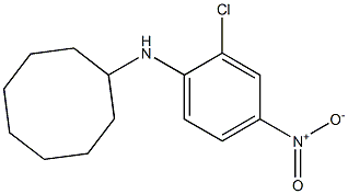 N-(2-chloro-4-nitrophenyl)cyclooctanamine Struktur