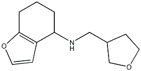 N-(oxolan-3-ylmethyl)-4,5,6,7-tetrahydro-1-benzofuran-4-amine Struktur