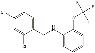 N-[(2,4-dichlorophenyl)methyl]-2-(trifluoromethoxy)aniline Struktur