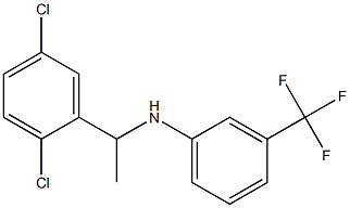 N-[1-(2,5-dichlorophenyl)ethyl]-3-(trifluoromethyl)aniline Struktur