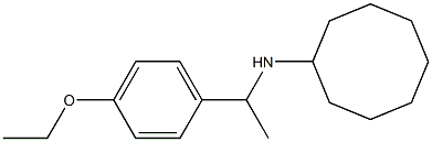 N-[1-(4-ethoxyphenyl)ethyl]cyclooctanamine Struktur