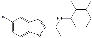 N-[1-(5-bromo-1-benzofuran-2-yl)ethyl]-2,3-dimethylcyclohexan-1-amine Struktur