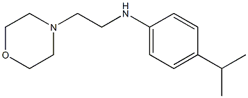 N-[2-(morpholin-4-yl)ethyl]-4-(propan-2-yl)aniline Struktur