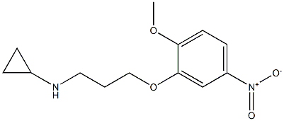 N-[3-(2-methoxy-5-nitrophenoxy)propyl]cyclopropanamine Struktur