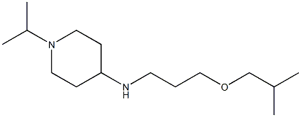 N-[3-(2-methylpropoxy)propyl]-1-(propan-2-yl)piperidin-4-amine Struktur