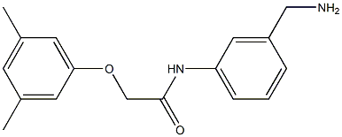 N-[3-(aminomethyl)phenyl]-2-(3,5-dimethylphenoxy)acetamide Struktur