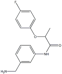 N-[3-(aminomethyl)phenyl]-2-(4-fluorophenoxy)propanamide Struktur