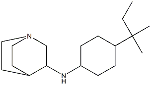 N-[4-(2-methylbutan-2-yl)cyclohexyl]-1-azabicyclo[2.2.2]octan-3-amine Struktur