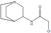 N-1-azabicyclo[2.2.2]oct-3-yl-2-chloroacetamide Struktur