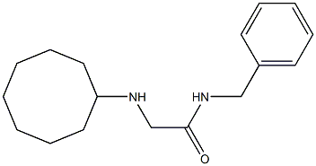 N-benzyl-2-(cyclooctylamino)acetamide Struktur