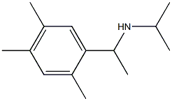 propan-2-yl[1-(2,4,5-trimethylphenyl)ethyl]amine Struktur