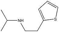 propan-2-yl[2-(thiophen-2-yl)ethyl]amine Struktur