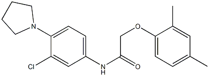 N-[3-chloro-4-(1-pyrrolidinyl)phenyl]-2-(2,4-dimethylphenoxy)acetamide Struktur