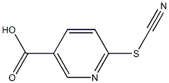 6-(cyanosulfanyl)nicotinic acid Struktur