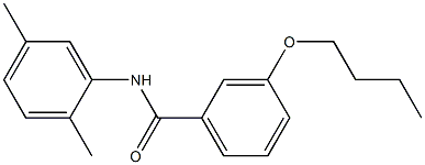 3-butoxy-N-(2,5-dimethylphenyl)benzamide Struktur