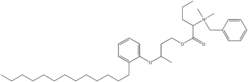 N,N-Dimethyl-N-benzyl-N-[1-[[3-(2-tridecylphenyloxy)butyl]oxycarbonyl]butyl]aminium Struktur