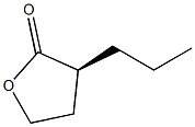 (S)-3-Propyldihydrofuran-2(3H)-one Struktur