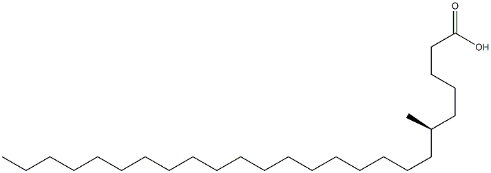 [R,(-)]-6-Methylpentacosanoic acid Struktur