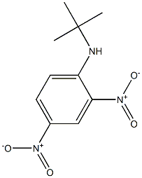 N-tert-Butyl-2,4-dinitroaniline Struktur