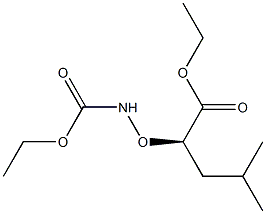 [R,(+)]-2-[(Ethoxycarbonylamino)oxy]-4-methylvaleric acid ethyl ester Struktur