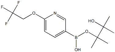 6-(2,2,2-trifluoroethoxy)pyridine-3-boronic acid pinacol ester Struktur