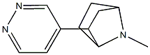 7-methyl-2-(pyridazin-4-yl)-7-azabicyclo(2.2.1)heptane Struktur