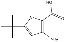 3-AMINO-5-TERT-BUTYLTHIOPHENE-2-CARBOXYLIC ACID 99% Struktur